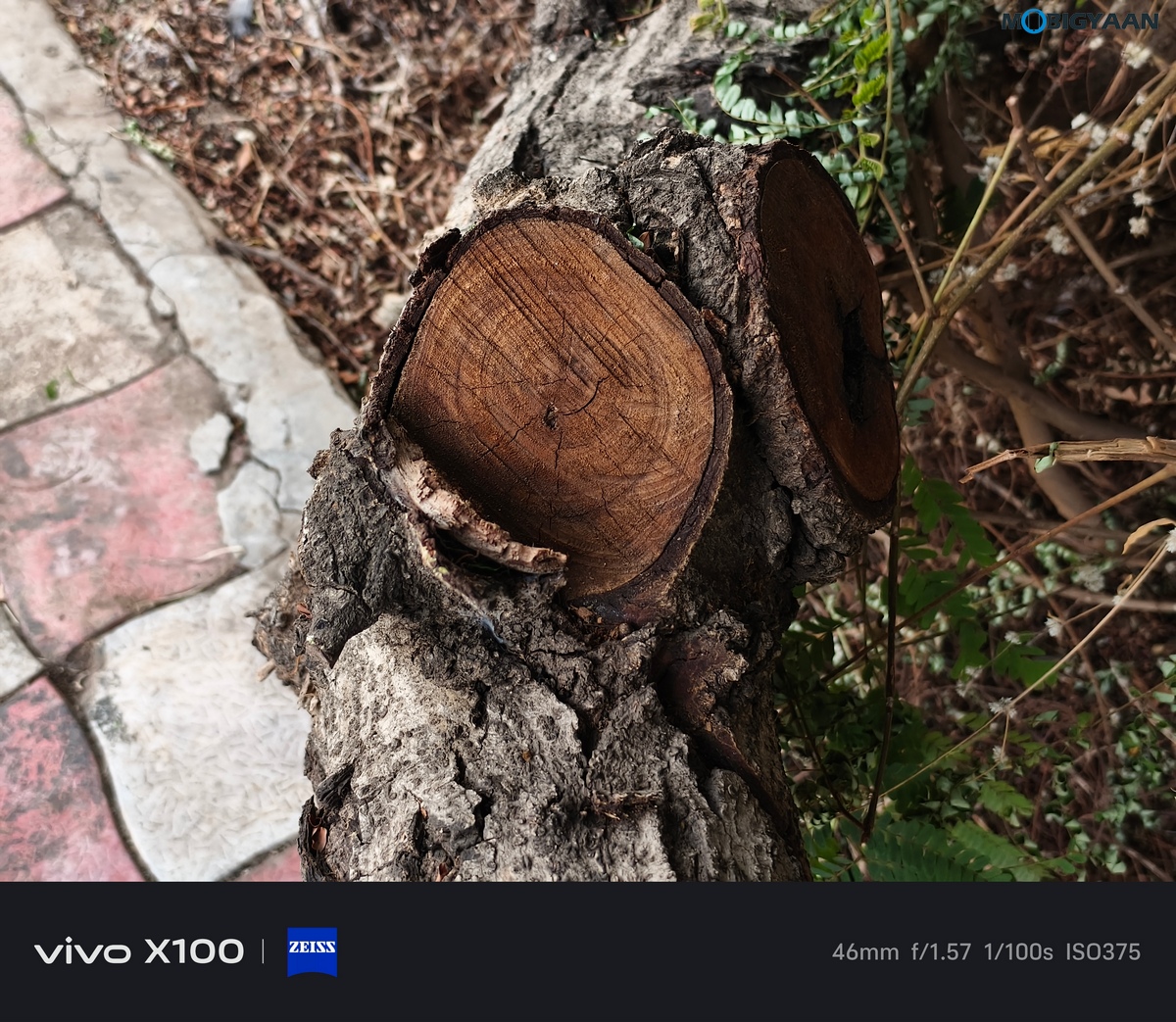 vivo X100 Review Camera Samples 49