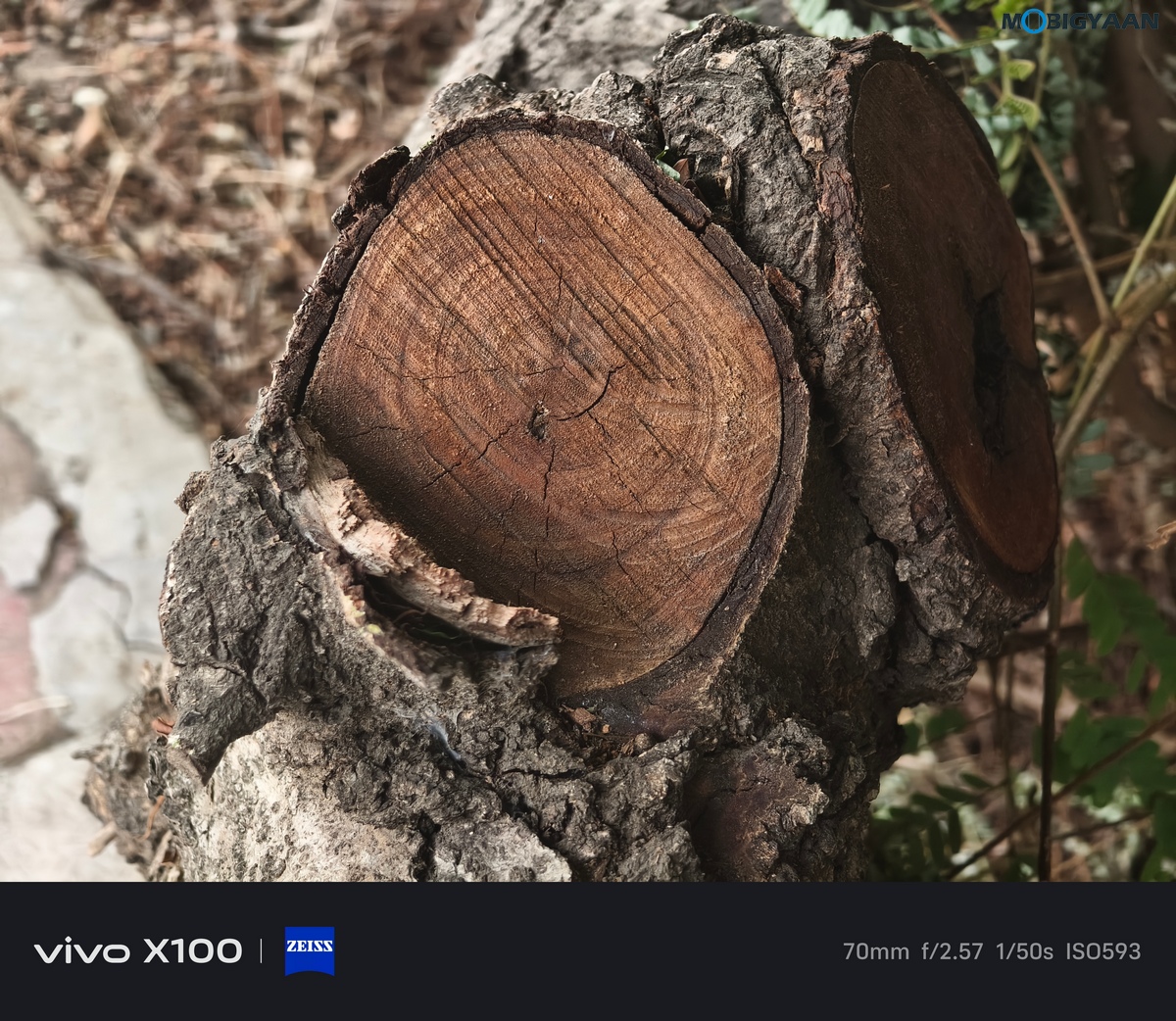 vivo X100 Review Camera Samples 50