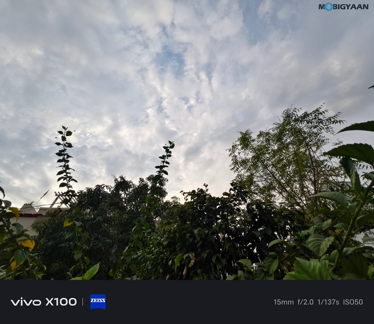 vivo X100 Review Camera Samples 52