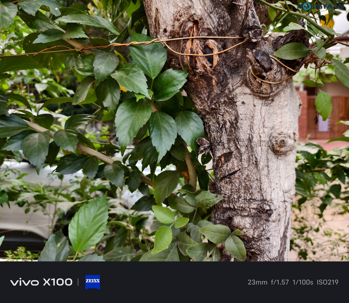 vivo X100 Review Camera Samples 55