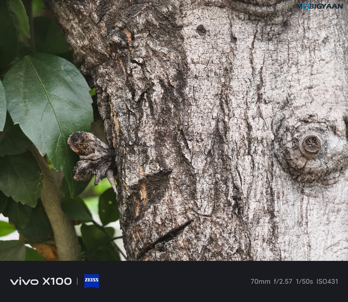 vivo X100 Review Camera Samples 57