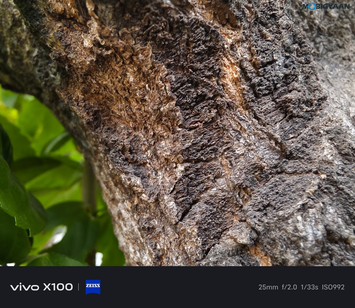 vivo X100 Review Camera Samples 59