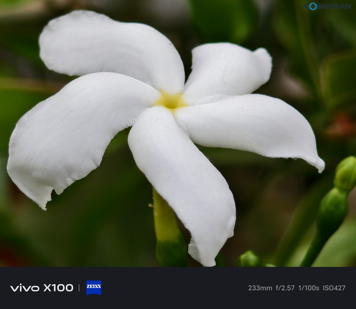 vivo X100 Review Camera Samples 7