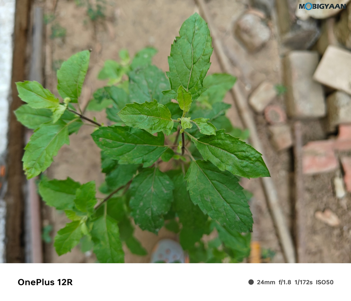 OnePlus 12R Review Camera Samples 3