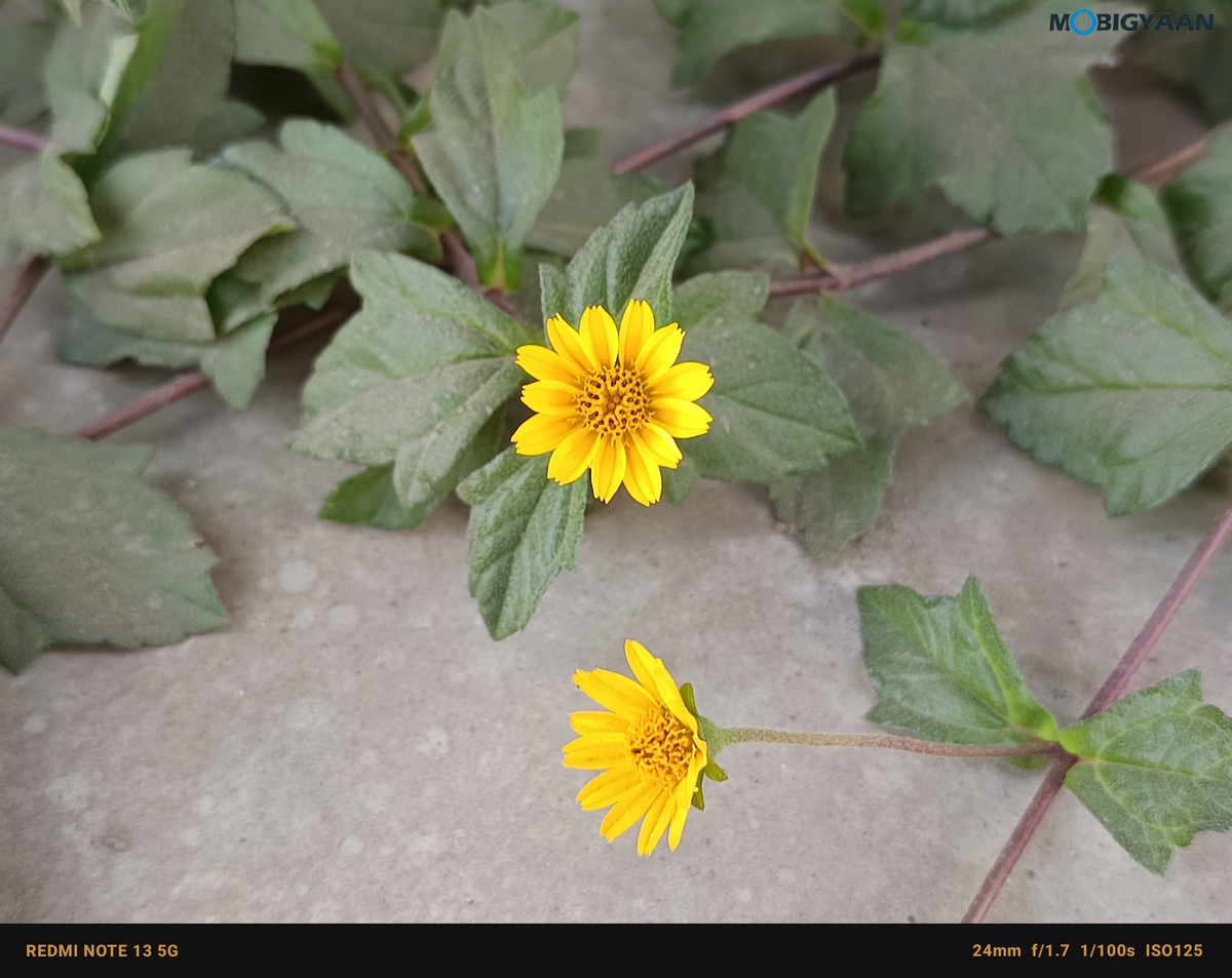 Redmi Mote 13 5G Review Camera Samples 12