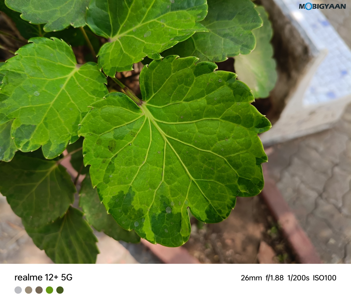 realme 12 5G Review Camera Samples 3