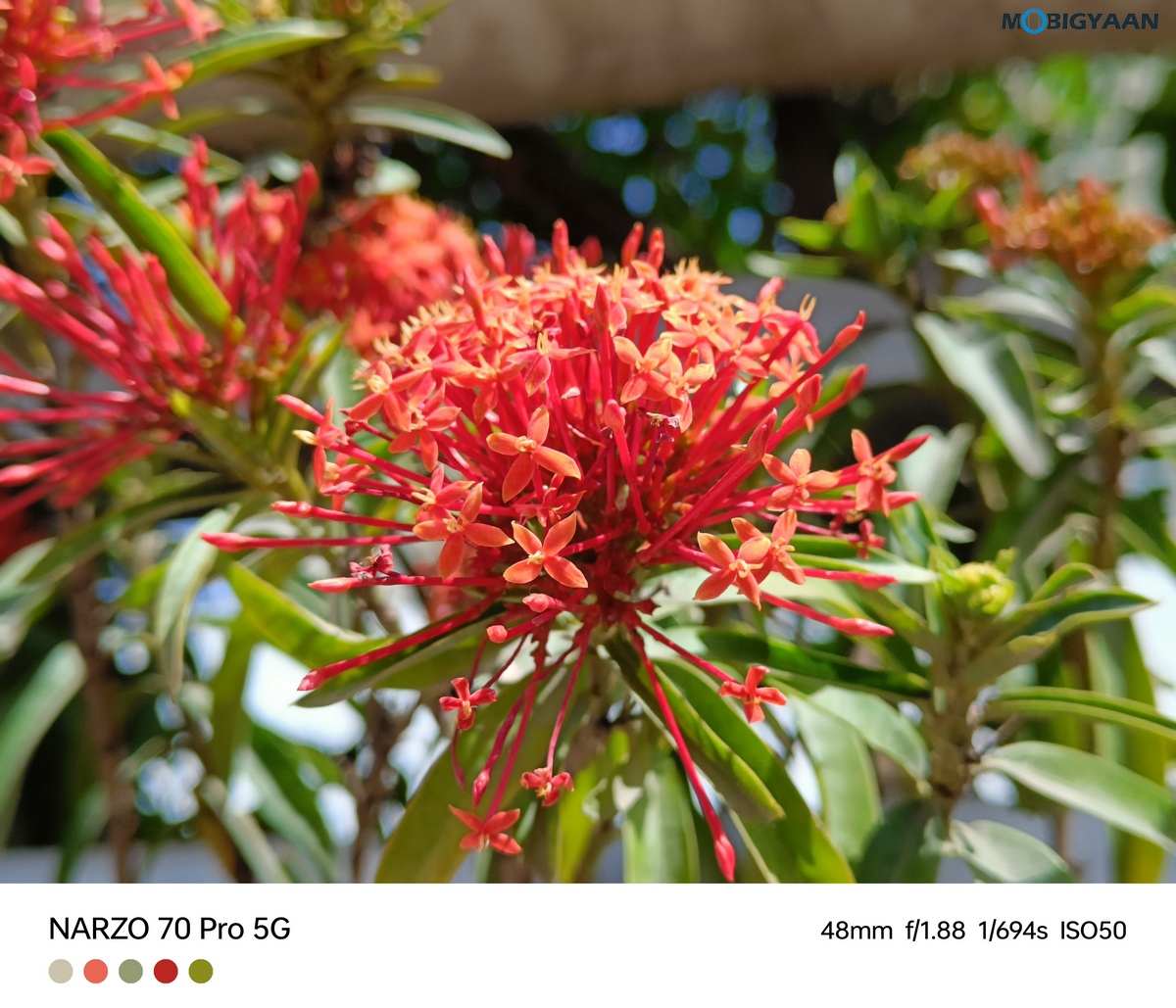 realme narzo 70 Pro 5G Review Camera Samples 12