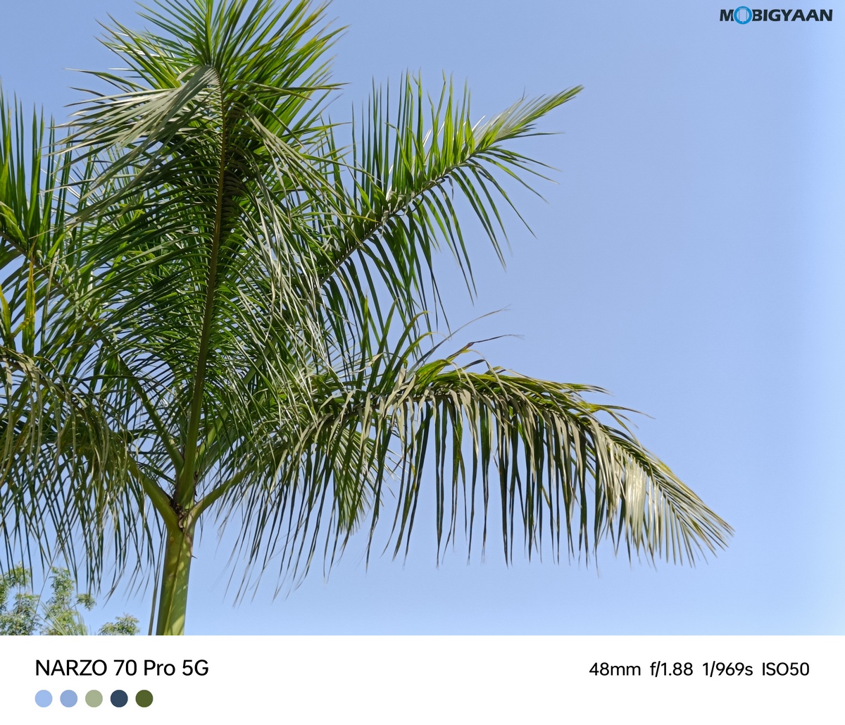 realme narzo 70 Pro 5G Review Camera Samples 15