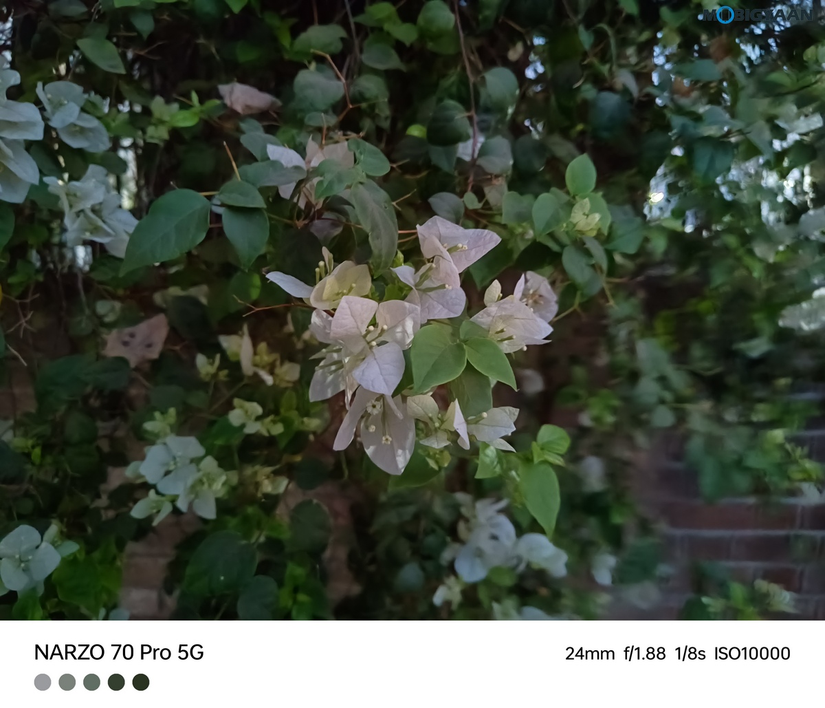 realme narzo 70 Pro 5G Review Camera Samples 21