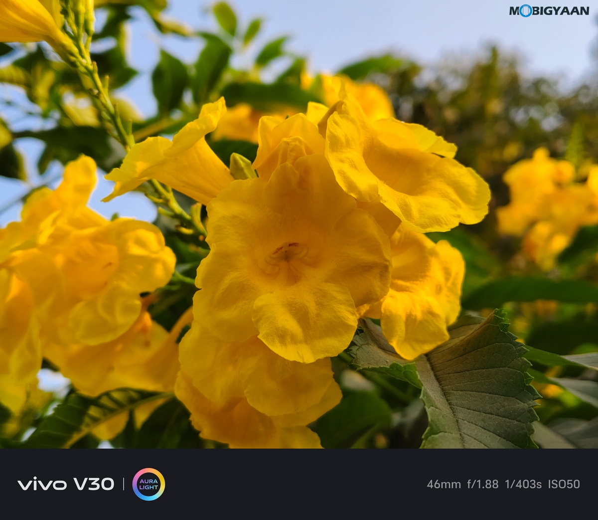 vivo V30 Review Camera Samples 1