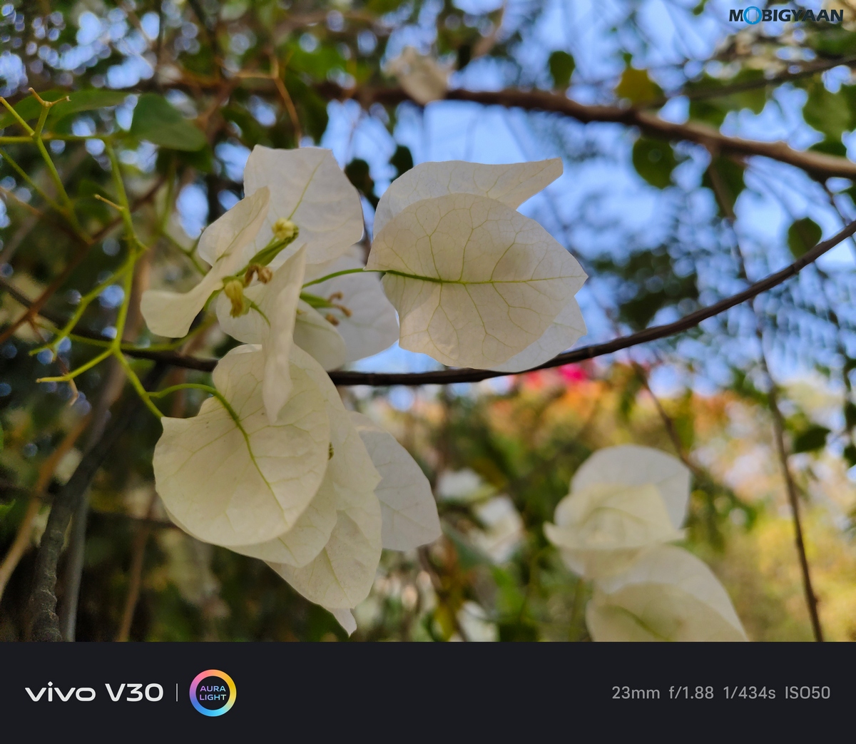 vivo V30 Review Camera Samples 12