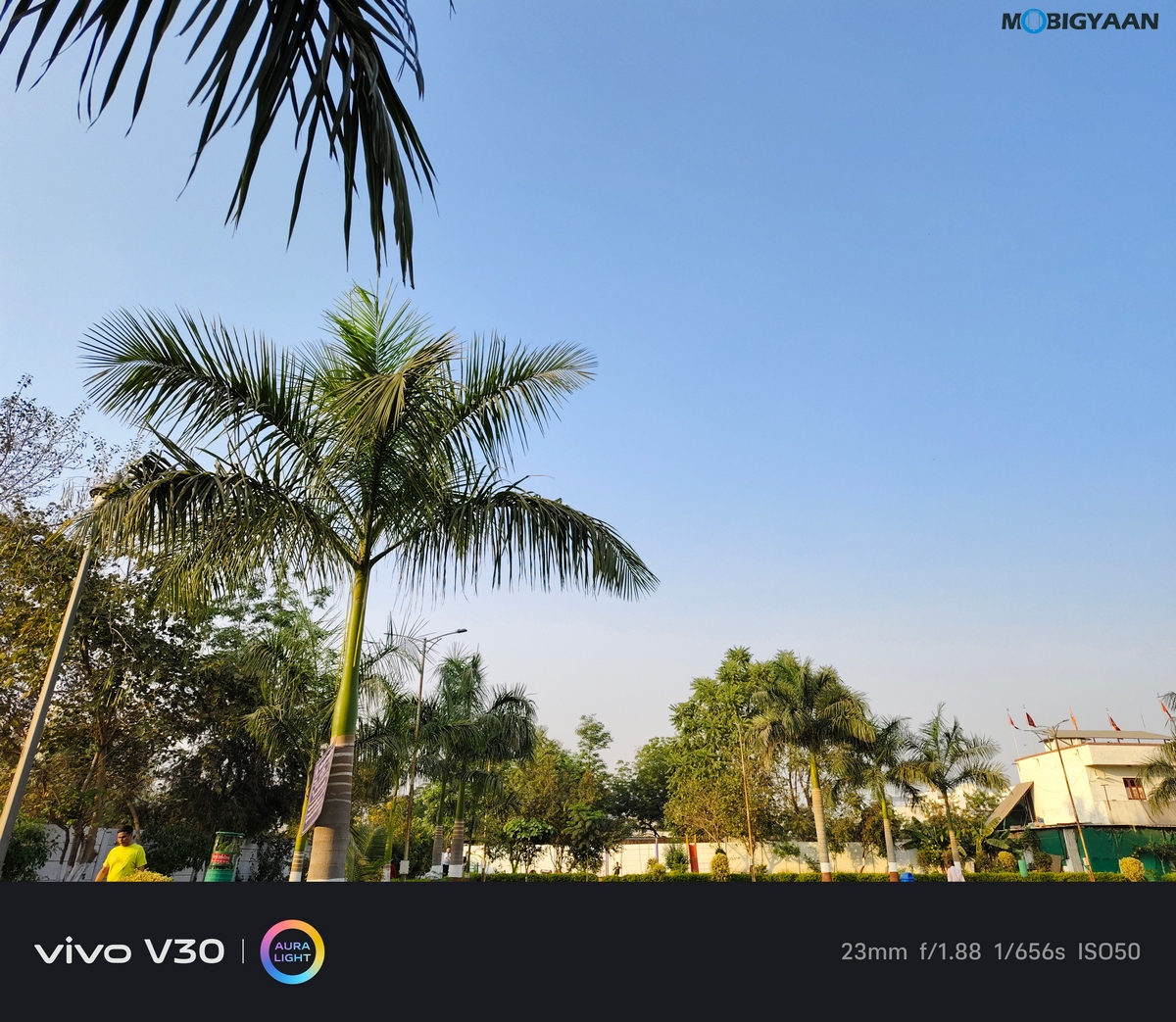 vivo V30 Review Camera Samples 15