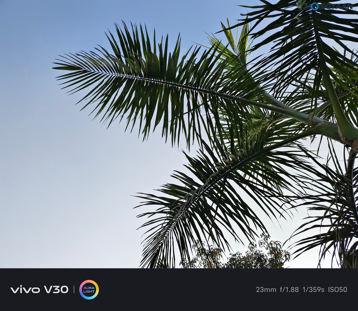 vivo V30 Review Camera Samples 16