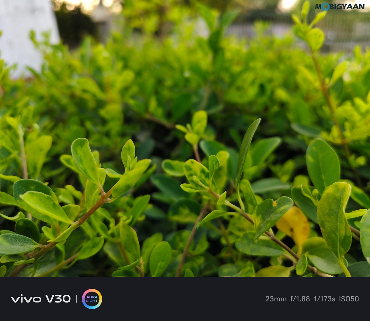 vivo V30 Review Camera Samples 17