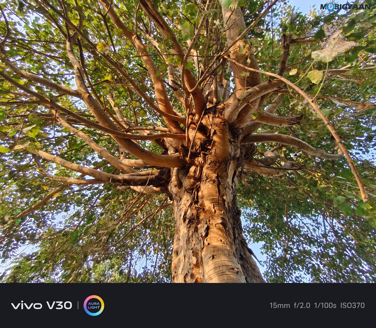 vivo V30 Review Camera Samples 19