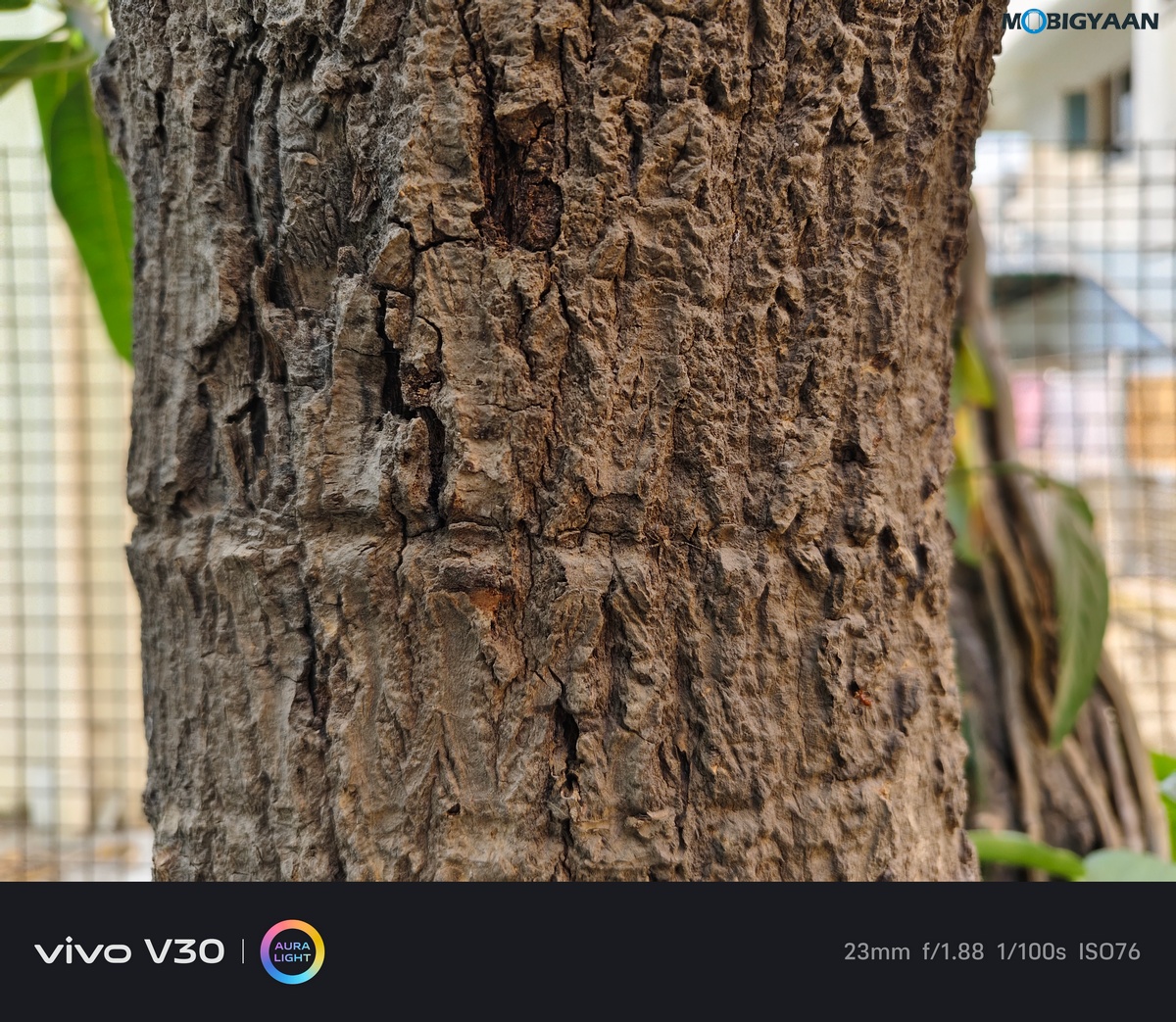 vivo V30 Review Camera Samples 2