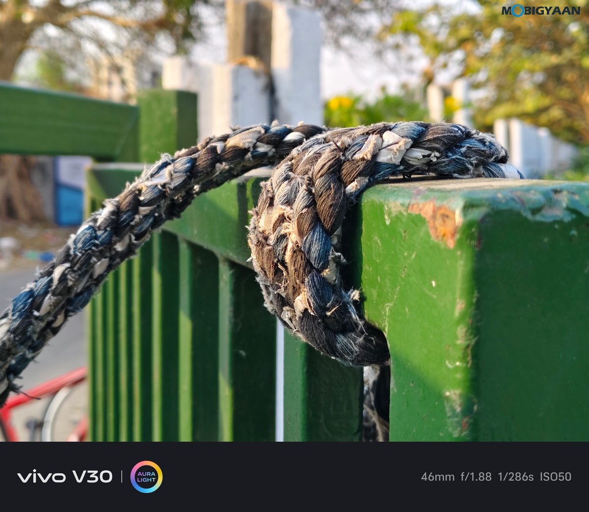 vivo V30 Review Camera Samples 21