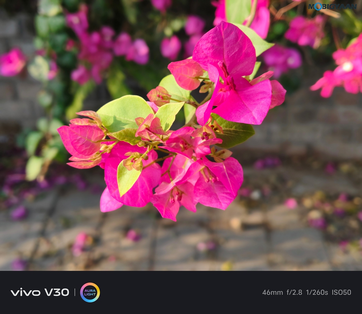 vivo V30 Review Camera Samples 9