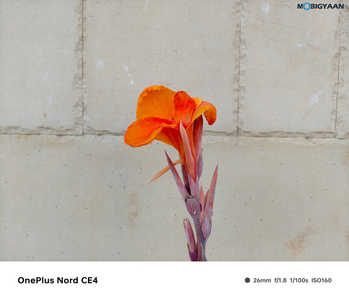 OnePlus Nord CE4 Review Camera Samples 1