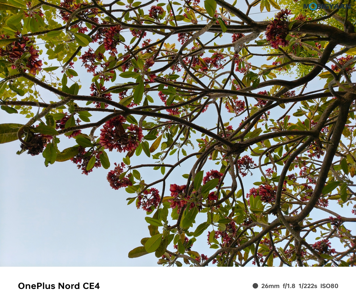OnePlus Nord CE4 Review Camera Samples 13