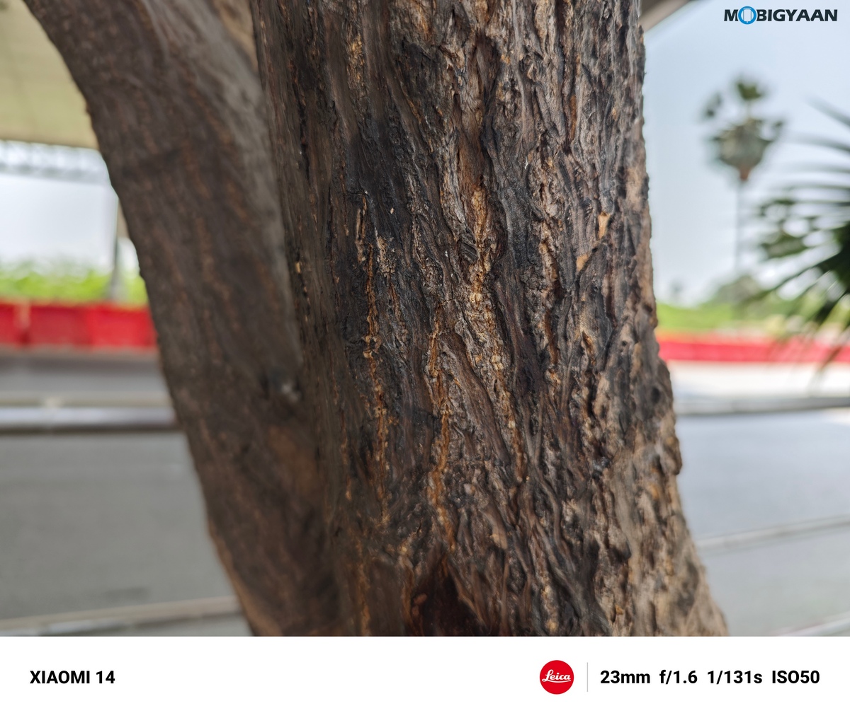 Xiaomi 14 Review Camera Samples 41