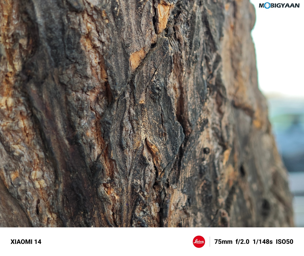 Xiaomi 14 Review Camera Samples 42