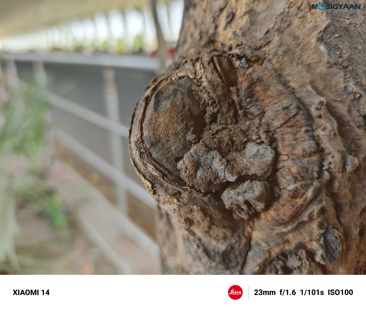 Xiaomi 14 Review Camera Samples 48