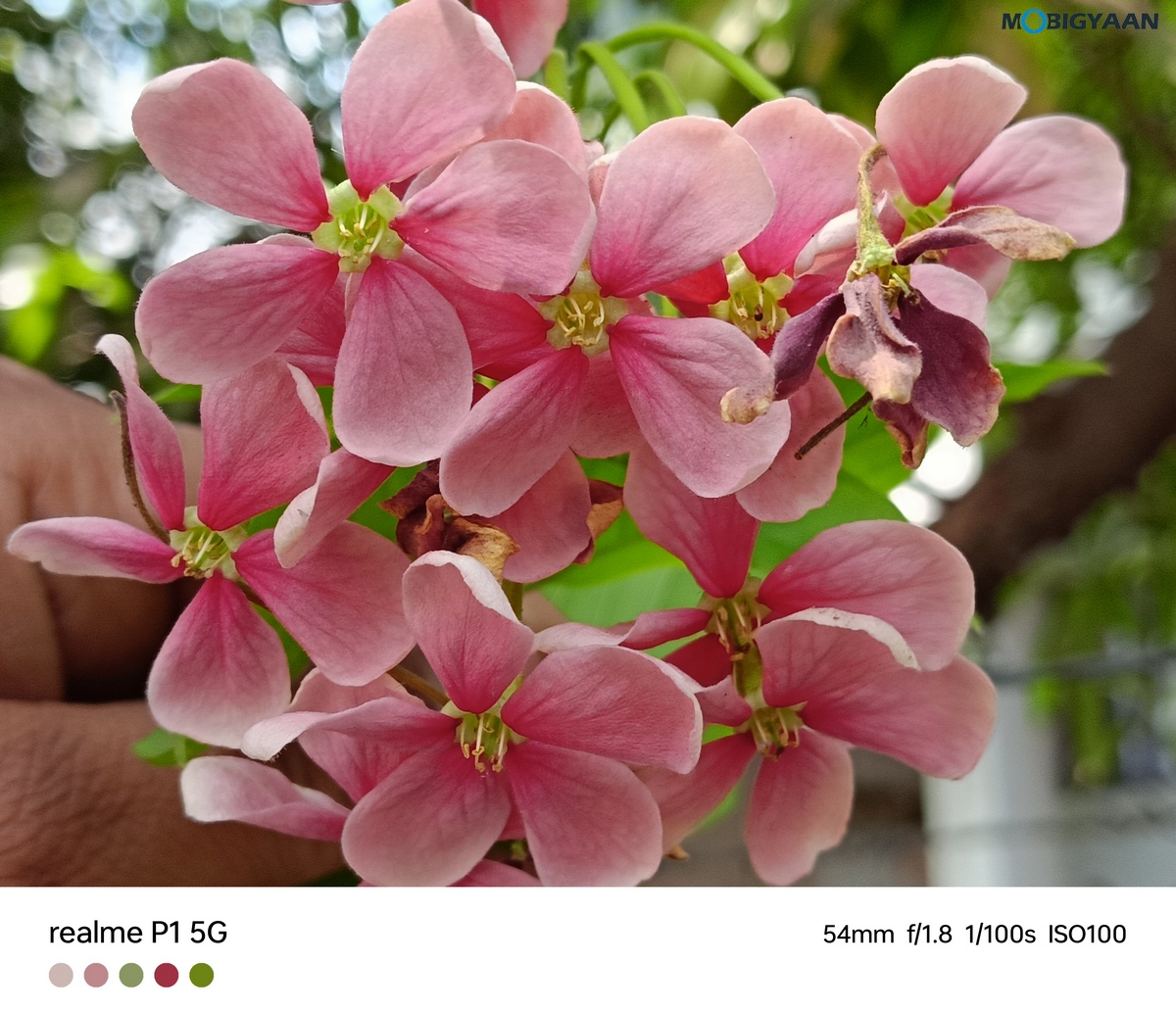 realme P1 5G Review Camera Samples 3