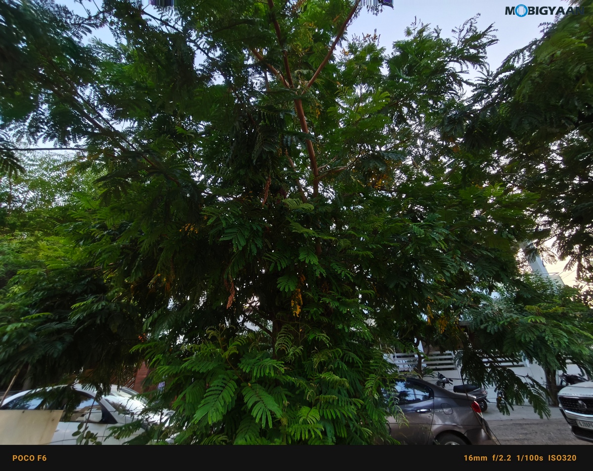POCO F6 5G Review Camera Samples 16