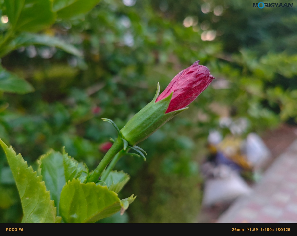 POCO F6 5G Review Camera Samples 17