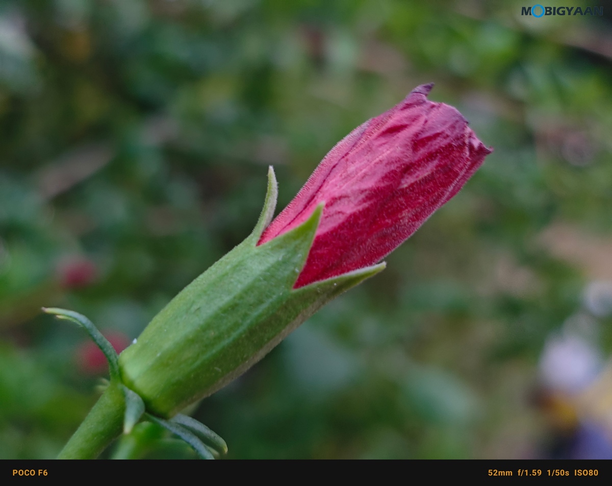 POCO F6 5G Review Camera Samples 18