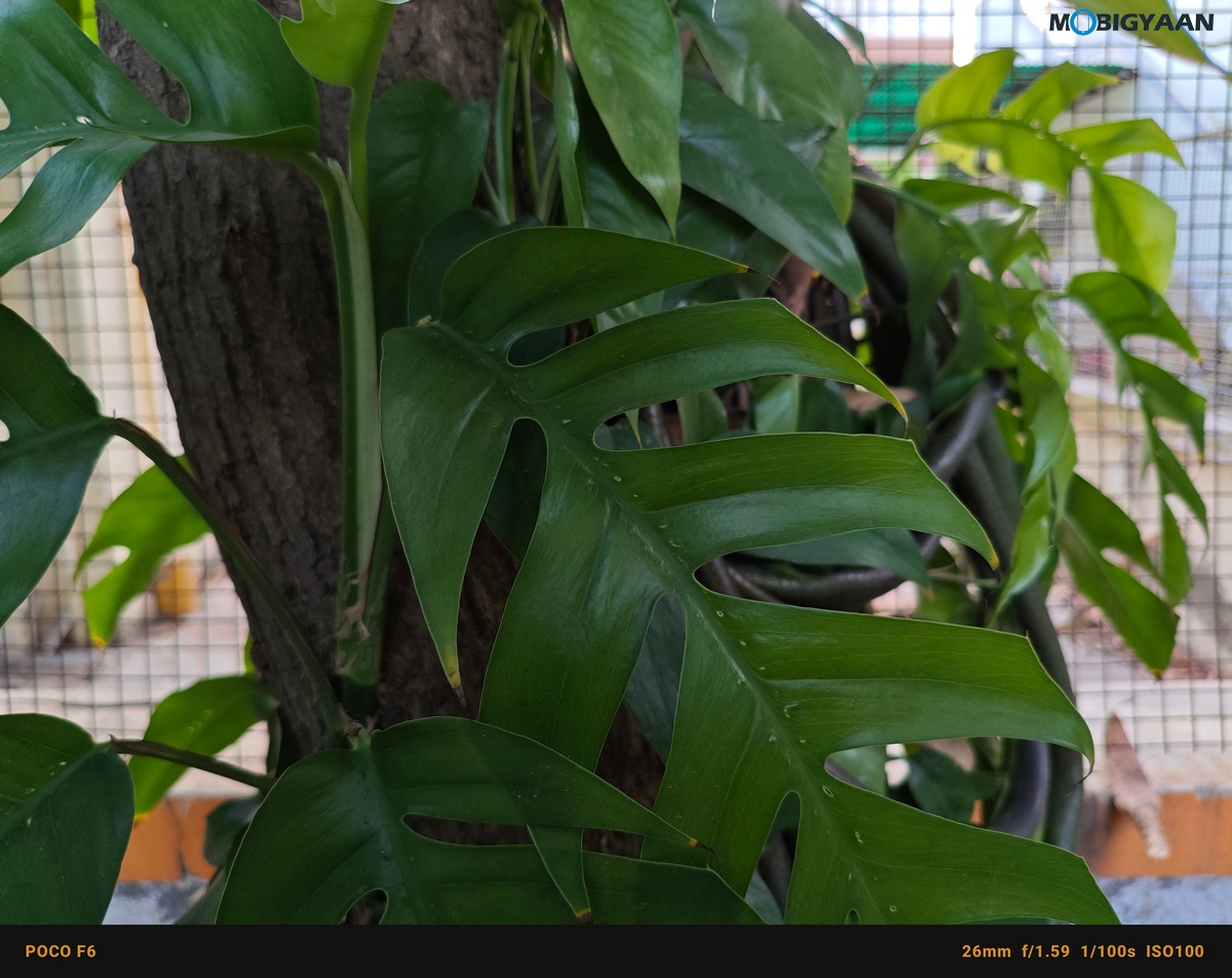 POCO F6 5G Review Camera Samples 2