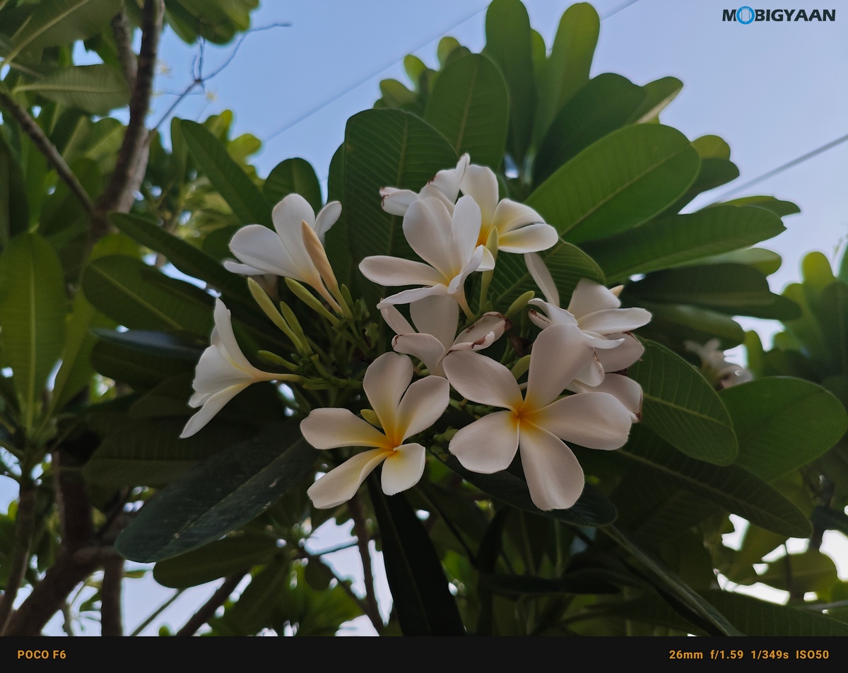 POCO F6 5G Review Camera Samples 23
