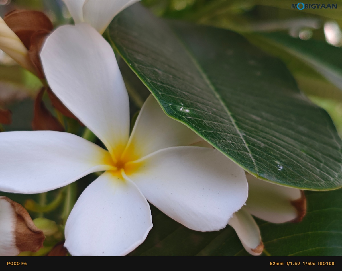 POCO F6 5G Review Camera Samples 24