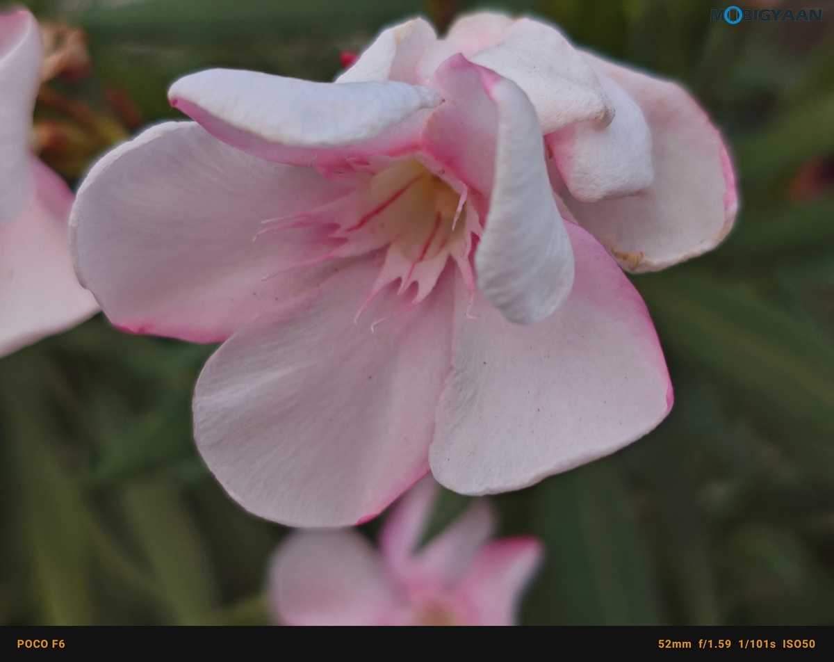 POCO F6 5G Review Camera Samples 27