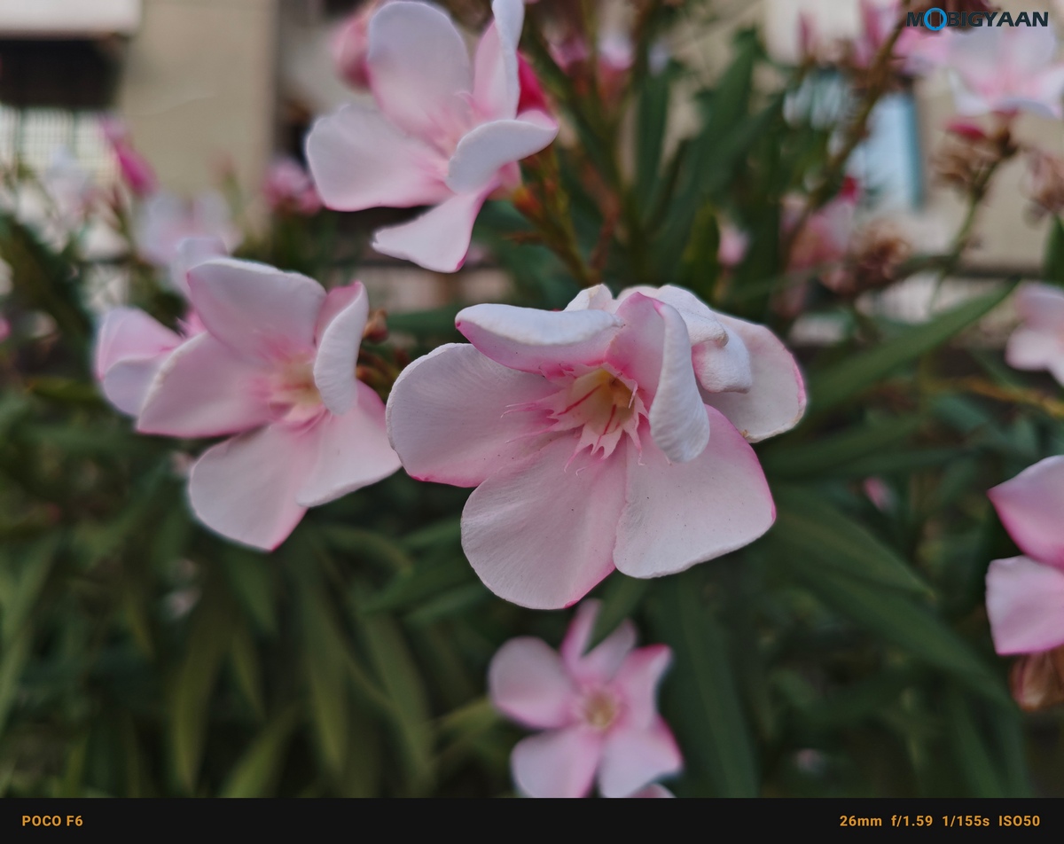 POCO F6 5G Review Camera Samples 28
