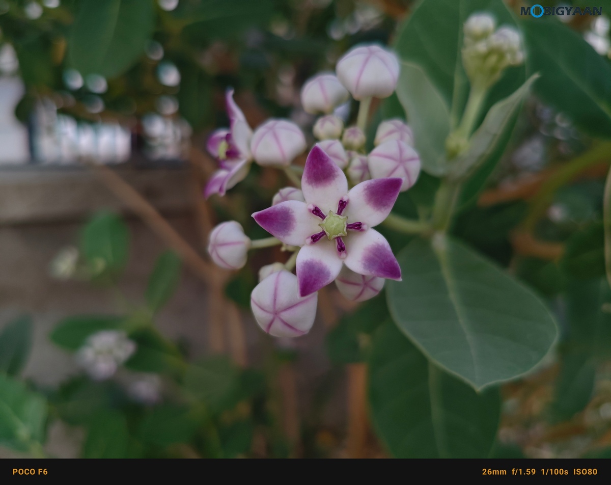 POCO F6 5G Review Camera Samples 30