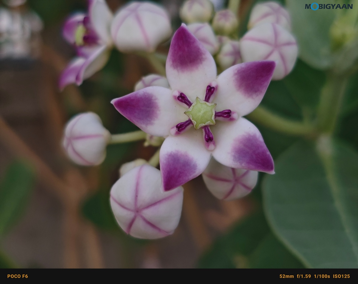 POCO F6 5G Review Camera Samples 31
