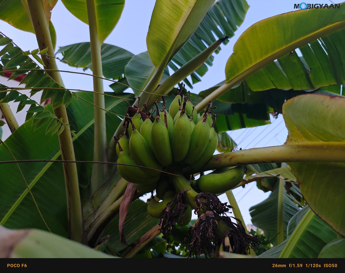 POCO F6 5G Review Camera Samples 35
