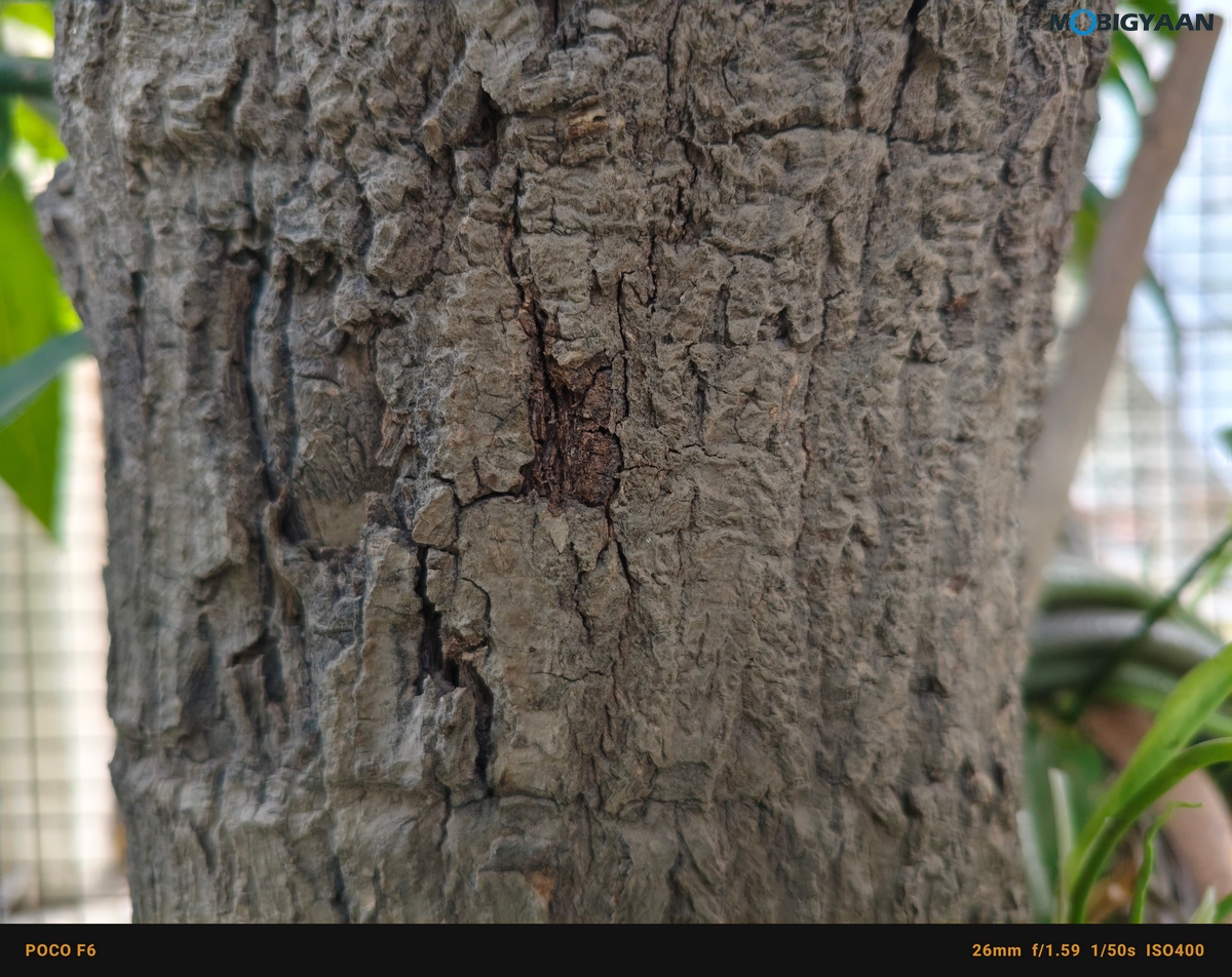 POCO F6 5G Review Camera Samples 4