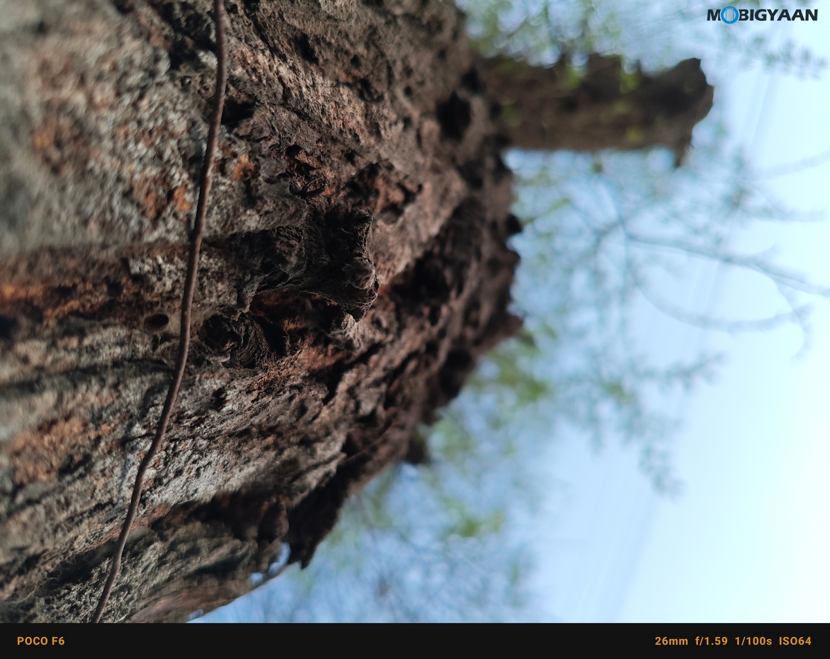 POCO F6 5G Review Camera Samples 45