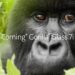 Corning unveils Gorilla Glass 7i for mid-range and budget smartphones 4 Corning unveils Gorilla Glass 7i for mid-range and budget smartphones