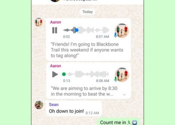 WhatsApp rolls out Voice Message Transcripts for easier conversations