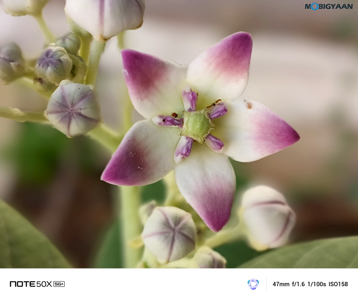 Infinix Note 50X 5G Review Camera Samples 13
