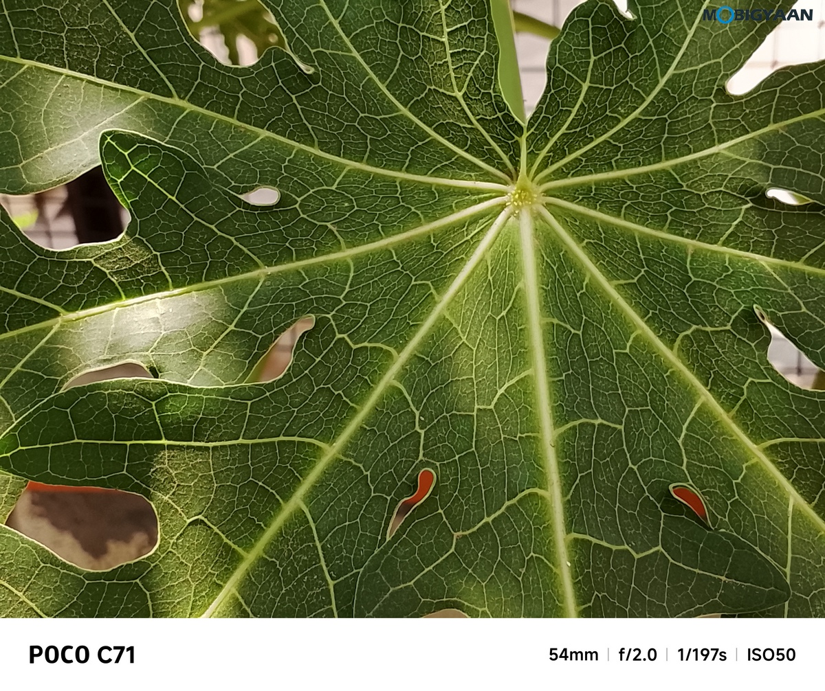POCO C71 Review Camera Samples 4
