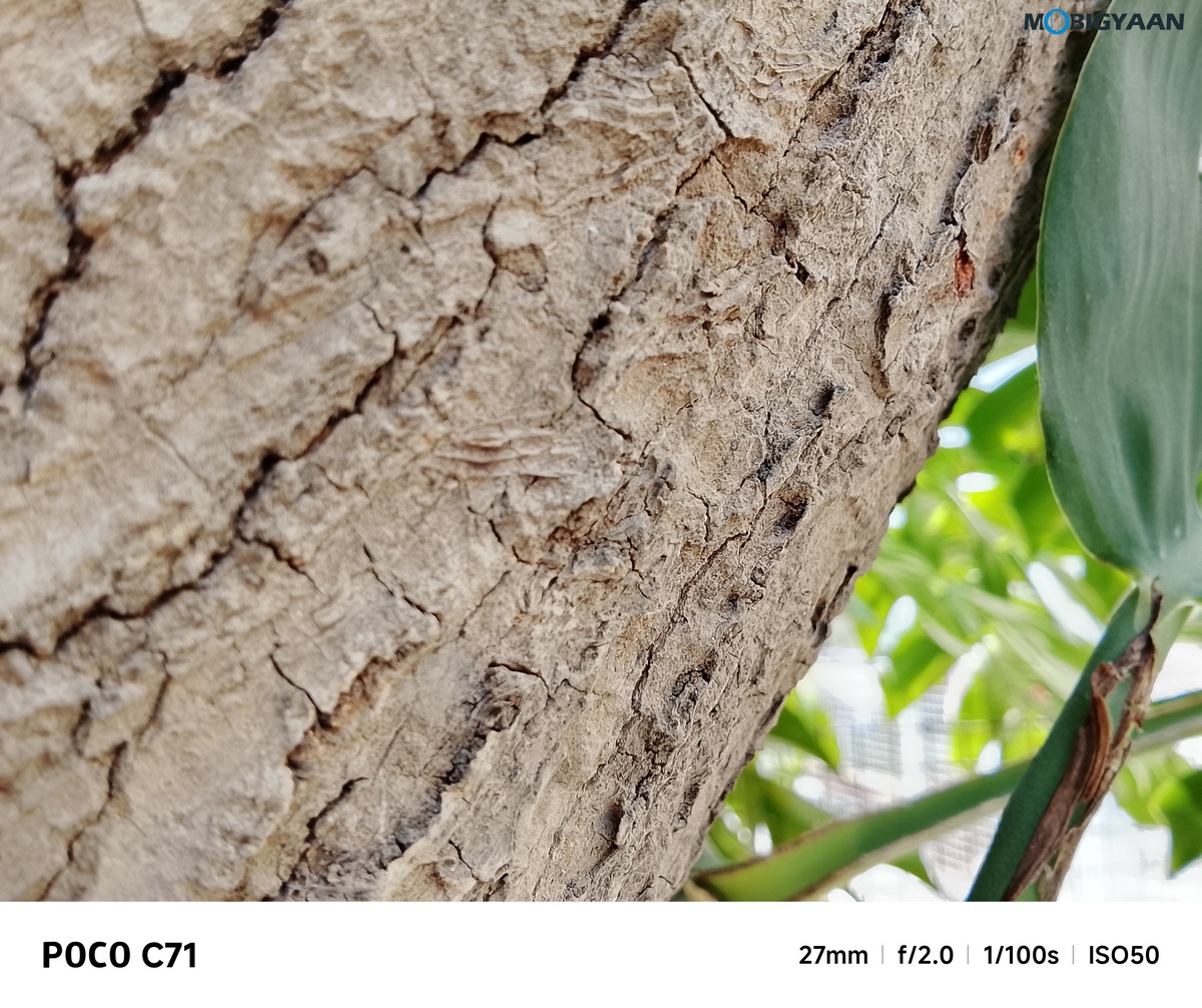 POCO C71 Review Camera Samples 5