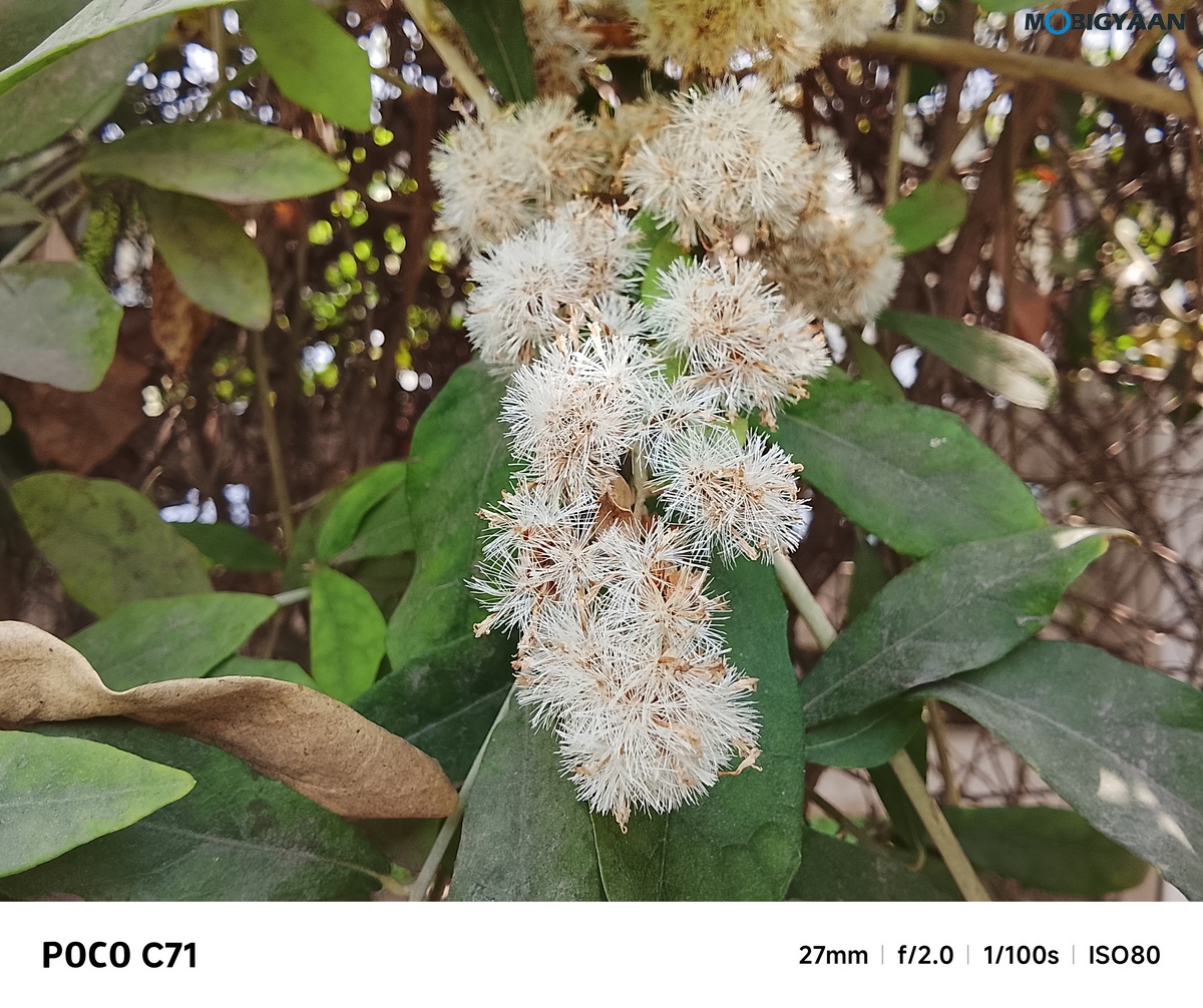 POCO C71 Review Camera Samples 9