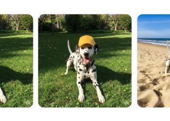 Gemini App gets native AI image editing with multistep visual tools