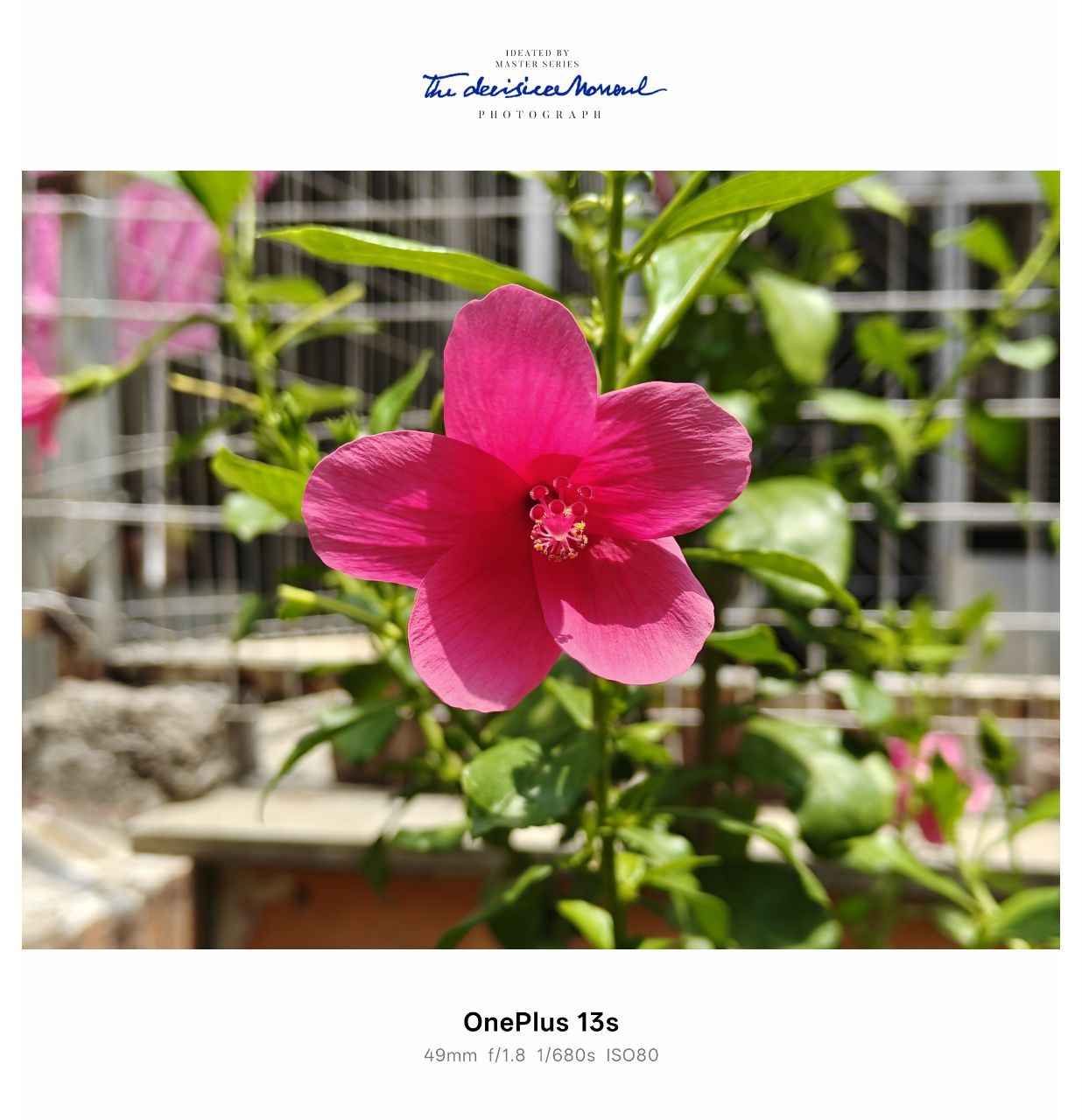 OnePlus 13s Camera Samples 19 1