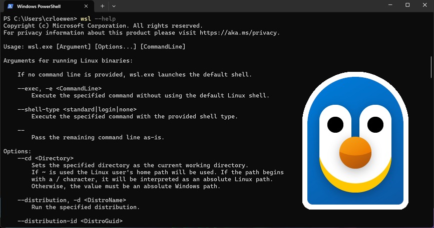 Windows Subsystem for